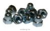 Zart-anya-M-10-HORG.-50db-a-rend.egyseg- Zart-anya-M-10-HORG.-50db-a-rend.egyseg-