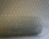 Csirkehalo-50cm-25cm-25M-horganyzott Csirkehalo-50cm-25cm-25M-horganyzott